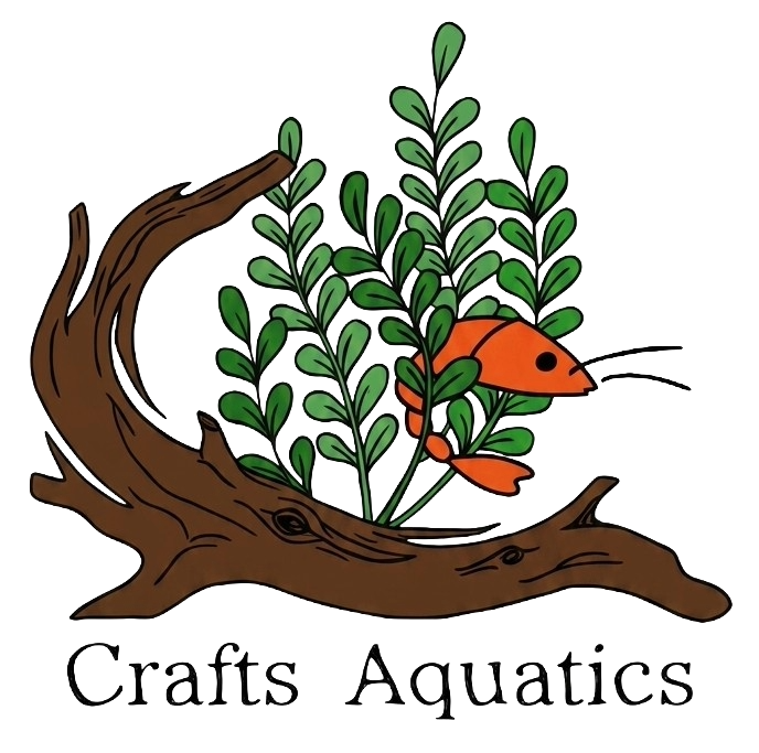 Crafts Aquatics Logo